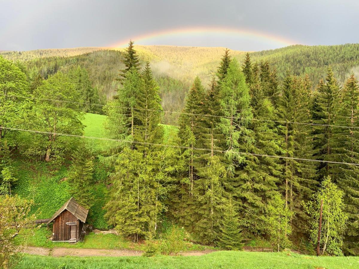 Nockalm Cottage Bad Kleinkirchheim Zewnętrze zdjęcie