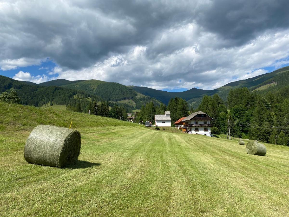 Nockalm Cottage Bad Kleinkirchheim Zewnętrze zdjęcie