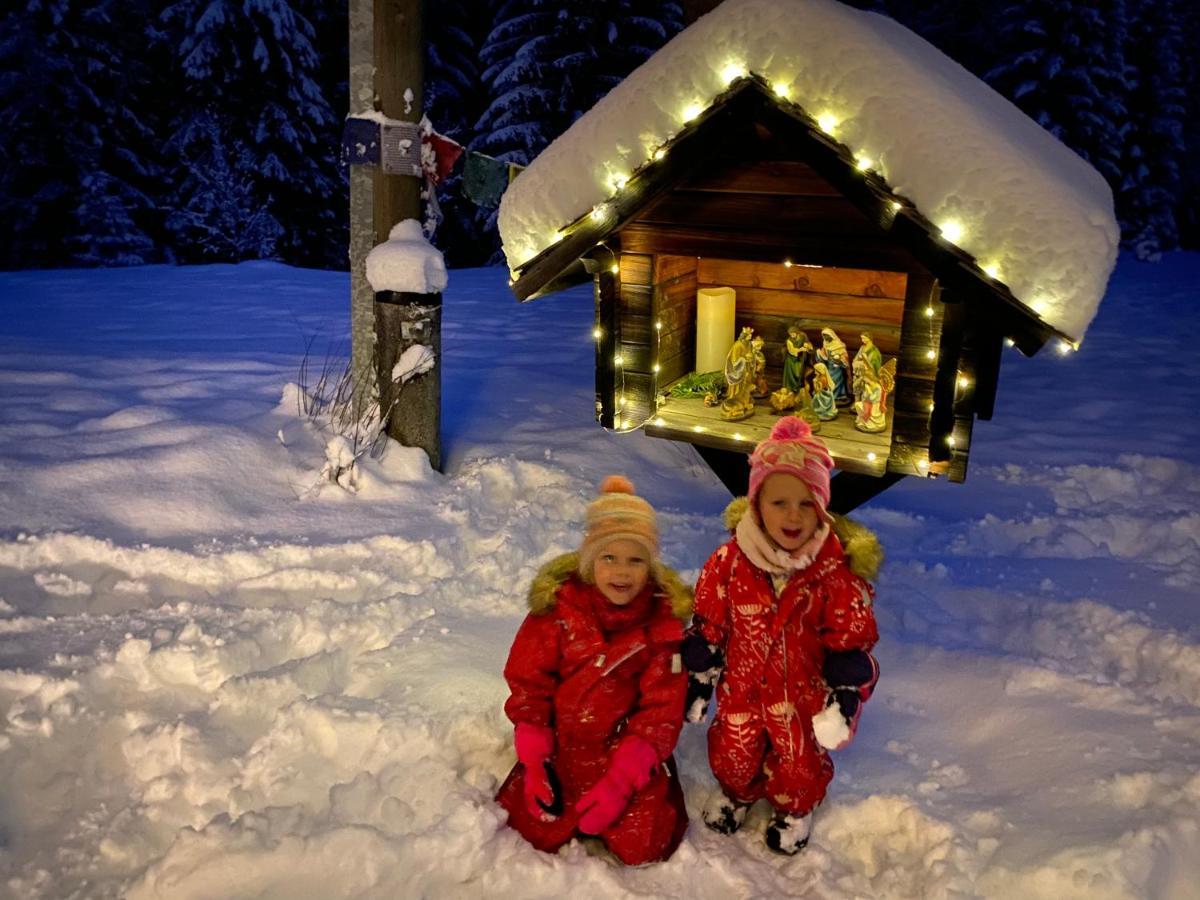 Nockalm Cottage Bad Kleinkirchheim Zewnętrze zdjęcie