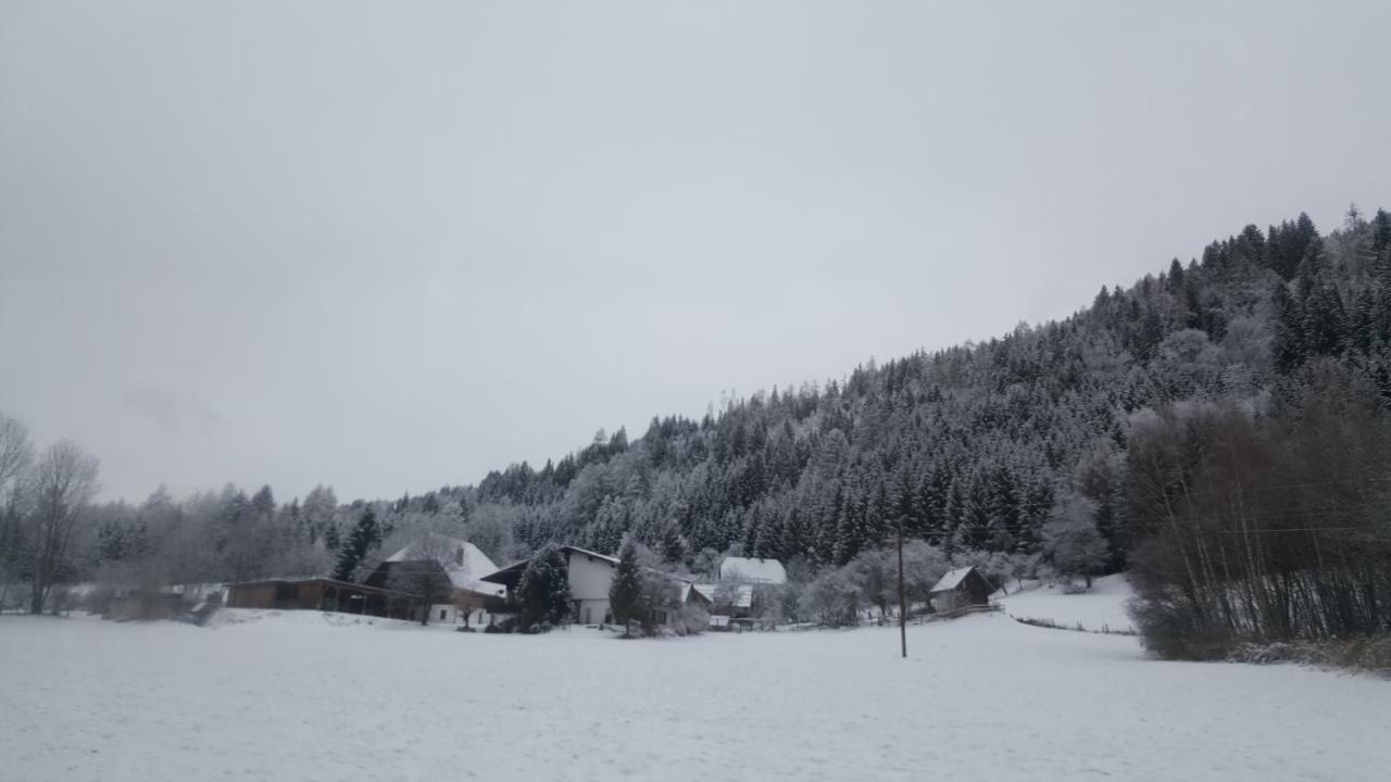 Nockalm Cottage Bad Kleinkirchheim Zewnętrze zdjęcie